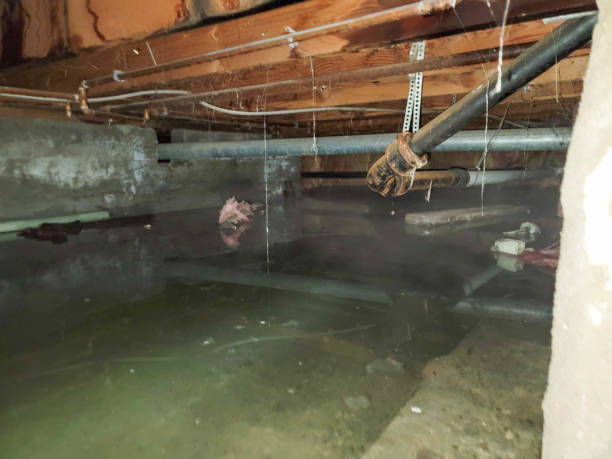 Best Water damage restoration near me  in Germantown, WI