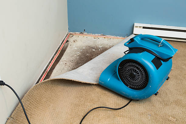 Best Flood restoration services  in Germantown, WI